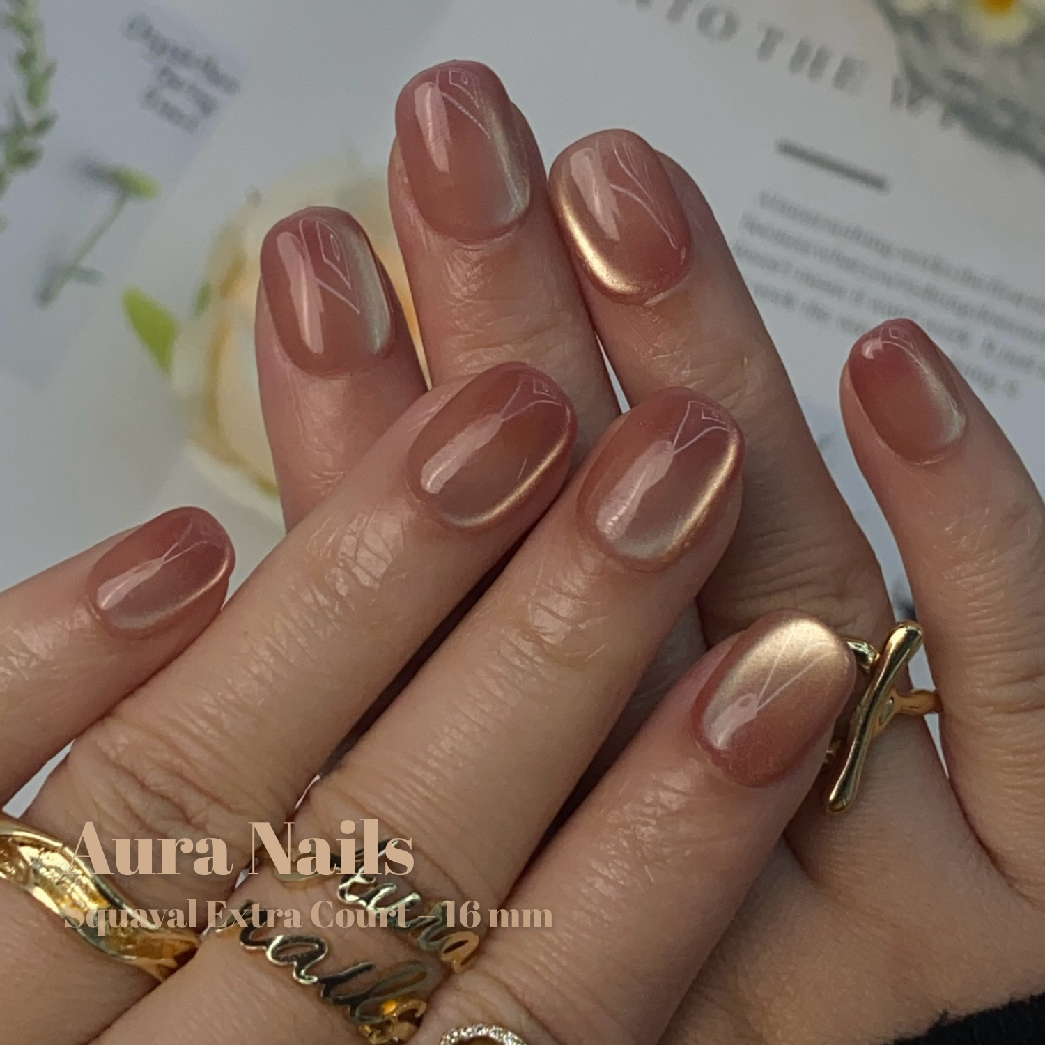 Rose Pearl - N°147