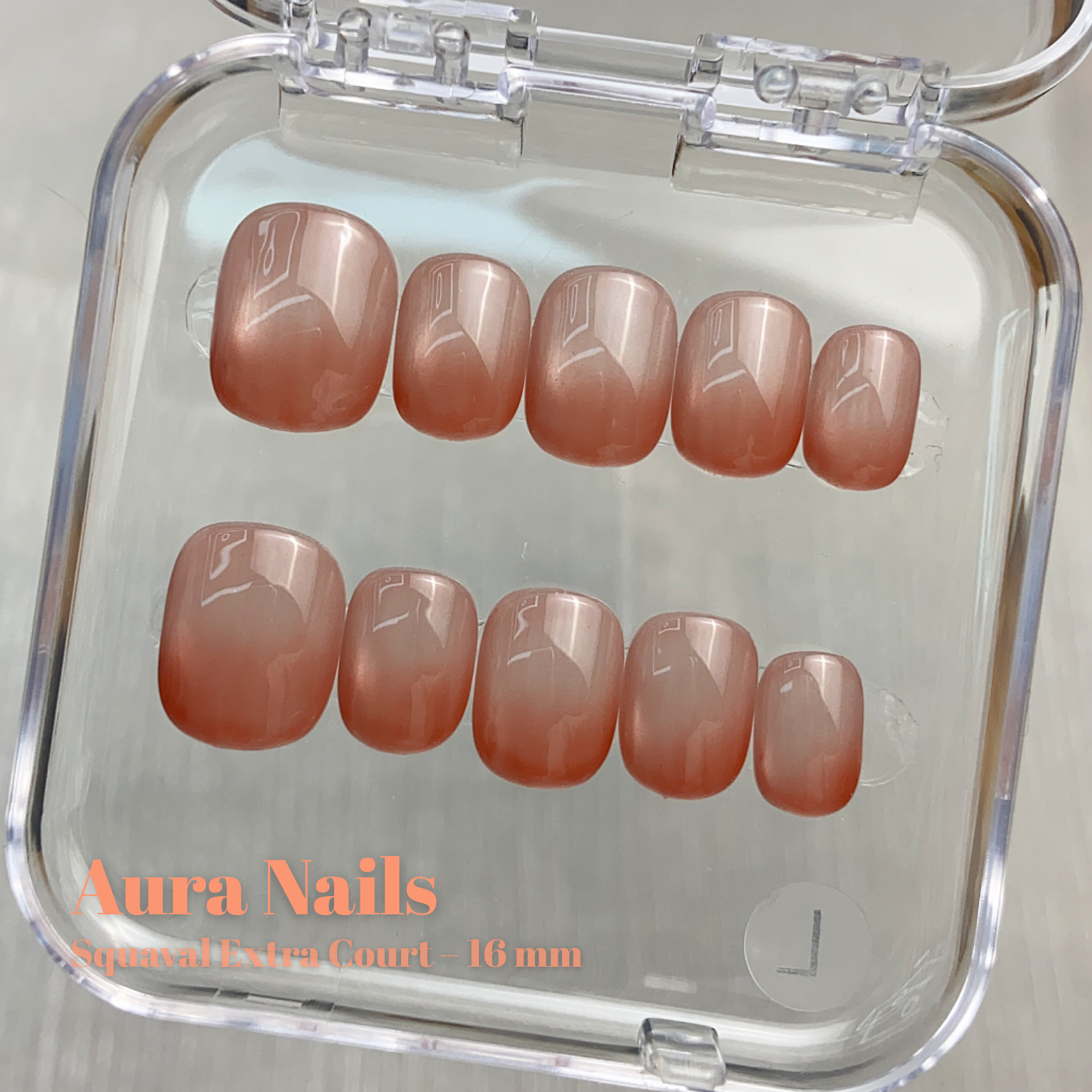 Nude Brown Gradient N°327